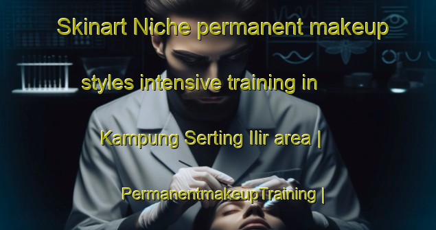Skinart Niche permanent makeup styles intensive training in Kampung Serting Ilir area | PermanentmakeupTraining | PermanentmakeupClasses | SkinartTraining-Malaysia